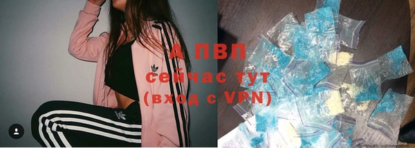 стаф Новодвинск