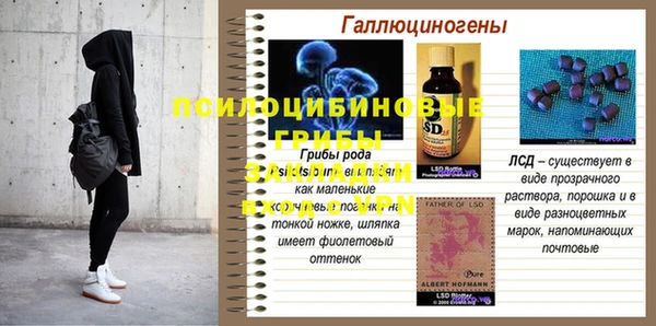 стаф Новодвинск